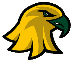 BROOKSTONE EAGLES logo